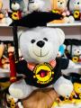 Graduation Teddy Bear | Graduation Gift Degree Bear | University Convocation Gift | Diploma Gift (24cm). 