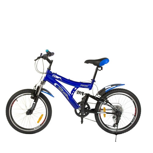DSI 20 Inch Dual Suspension 6 Speed Bicycle - Recommended for 9 to 11 year age