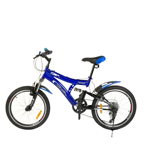 DSI 20 Inch Dual Suspension 6 Speed Bicycle - Recommended for 9 to 11 year age