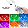 10M RGB Light Strip 3528 600LED LED Strip Light with 44 Key Remote. 