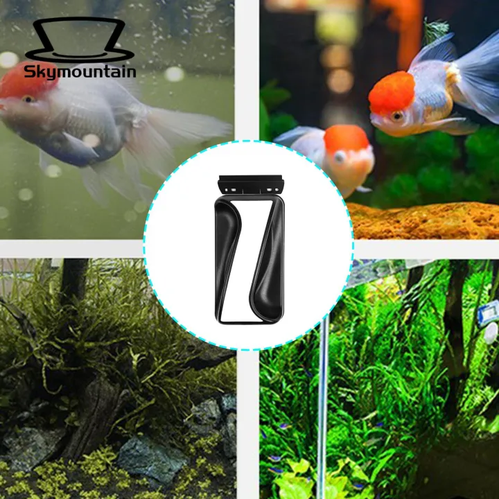 Fish%20Tank%20Magnetic%20Brush%20Efficient%20Double-sided%20Magnetic%20Aquarium%20Glass%20Cleaner%20with%20Scraper%20Say%20Goodbye%20to%20Algae%20Buildup%20Perfect%20for%20Southeast%20Asian%20Fish%20Tank%20Owners%20Dual-sided%20Fish%20Tank%20Cleaning%20-%20Image%209