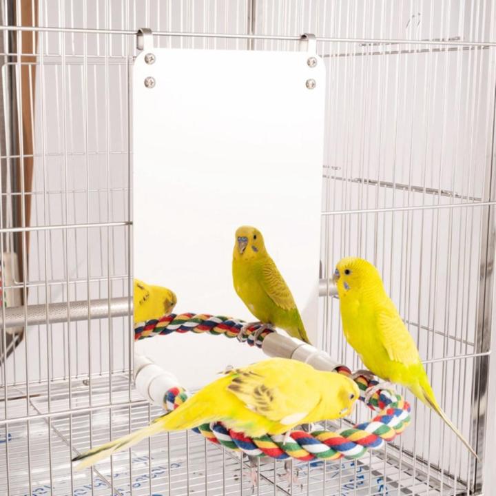 Conure Finch Acrylic Cage Accessories Parakeet Brid Mirror Perch Stand ...