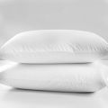 2PC Pillowcase Pillow Cover Ultra-Soft Polyester Hair Skin Pillowcase Home Decor Pillow Cushions Allergy Bed Bug Protector Cover. 