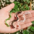 【ZOSR】10/30/50Pcs Plastic Plant Support Clips Reusable Plant Vine Grafting Fixing Tool Vegetable Garden Supplies. 
