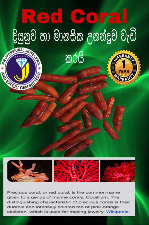 Red Coral 1 1/2 Length