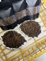 SriLankan Premium Clove 50g. 