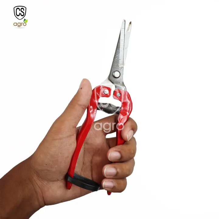 Garden%20Fruit%20Tree%20Branch%20Cutting%20Pruning%20Scissors%20Tool%2020cm%20-%20Image%205