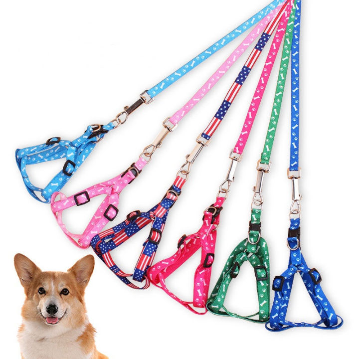 Cat & Dog Belt Adjustable Soft Nylon Paw Printed Strip Harness & Leash Set for All Breeds Dogs, Cat and Puppies