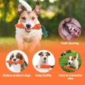 Benepaw Cotton Dog Rope Toy Eco-friendly Carrot-shaped Puppy Teething Toys For Boredom Training Indoor/Outdoor Pet Chew. 