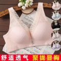 Breast Anti-Cloth Cover Clothes Lace Full-Sized Chest Women's Large Inner Closing Pair without Steel Ring Burst Breast Drooping on the Upper Part ︼. 