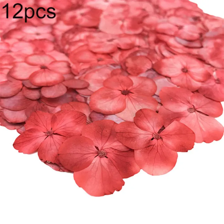 12Pcs%20Pressed%20Dried%20Flower%20Plant%20Specimen%20Epoxy%20Resin%20Phone%20Decor%20DIY%20Accessory%20-%20Image%204