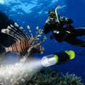 BlueFire 1100 Lumen CREE XM-L2 Scuba Diving Flashlight Waterproof Diving Torch Submarine Diving Safety Lights Underwater Dive Light. 