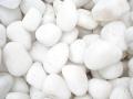Decor White Quartz Stone Pebbles (1Kg). 