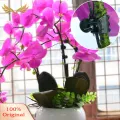 SuperRide Orchid Support Clips 50/100 Pcs Plant Clips for Orchids Climbing Plants Reusable Support Clips for Stems Vines Stalks Keep Plants Growing Upright Plant Support Clips. 