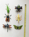6pcs Natural Insects Figures Toys. 