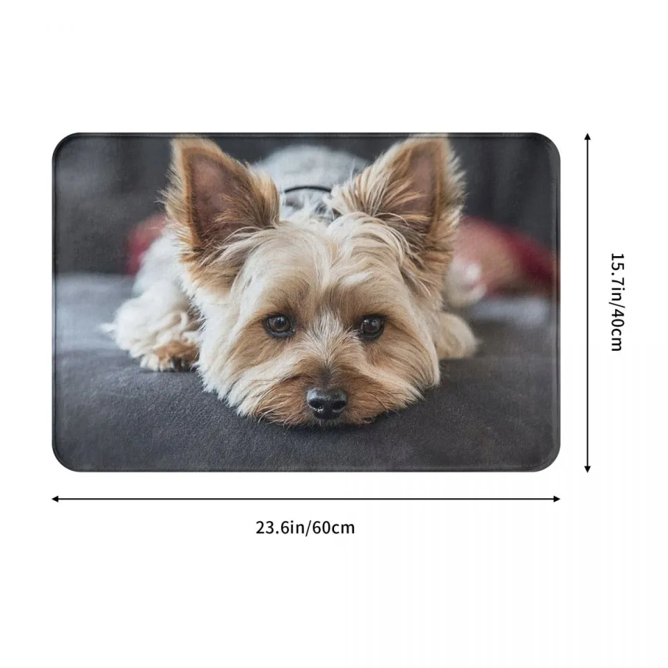 Hot】 Cute Mini Yorkshire Terrier Doormat Bathroom Rectangle Soft
