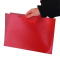 New L-shape A4 Clear Colorful Document Bag Paper File Folder Stationery School Office Case PP 6colors. 