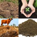 Cow Dung Compost 2kg Organic Fertilizer Agriculture Home Gardening. 