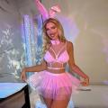 Lingerie Set Women Cosplay Bunny Girl Pink Set Mesh Lace lingerie Set Bodysuit Women Role Play Maid Costume. 