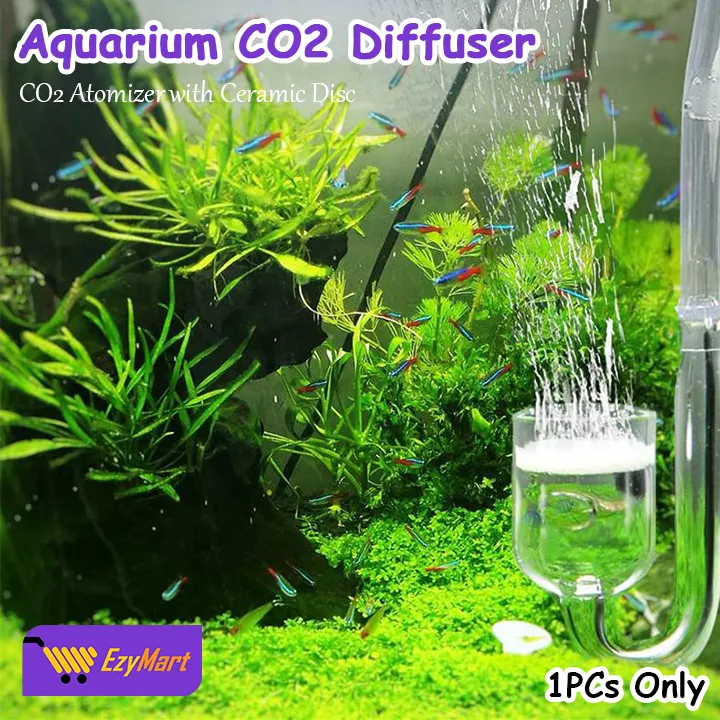 EzyMart%20-%20Aquarium%20CO2%20Diffuser%20Fish%20Tank%20CO2%20Atomizer%20with%20Ceramic%20Disc%20Suction%20Cups%20Acrylic%20-%20Image%204