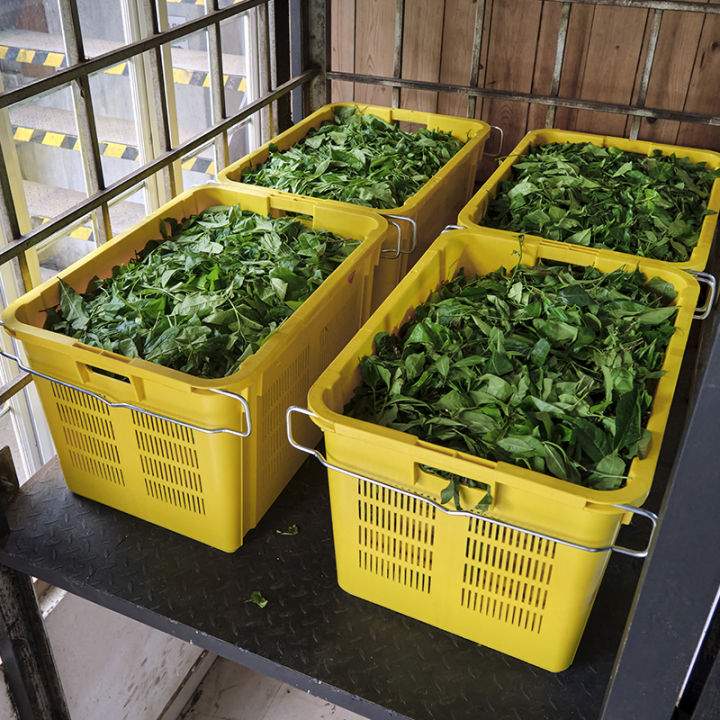 Plastic%20Crate%20%7C%20Multicolor%20Crate%20Perforated%20All%20Sides%20With%20Handle%20%7C%20Multipurpose%20Heavy%20Duty%20Plastic%20Crate%20%7C%20%20(LARGE%20)%20%7C%2060x43x30%20cm%20%7C%2065L%20%7C%20Nisaco%20Mall%20-%20Image%202