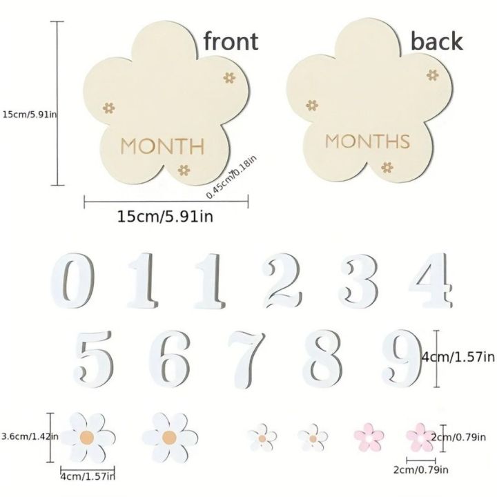 New 3D Baby Monthly Milestone Sign Cards Wooden 1-12 Months Babies ...