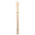 Generic Plastic Recorder Flute Soprano Flute Musical Instrument For Kids 6 Hole C Key Soprano Easy to play & carry. 