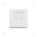 Owire Dual Ports/ 2Gang RJ45 Keystone Network Wall Faceplate. 