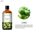 Wenlook Phatoil 100ml Blueberry Fragrance Oils for Candles Soap Making DIY Luxury Aroma Peach Lime Strawberry Mango Cherry Watermelon Fig Pear. 