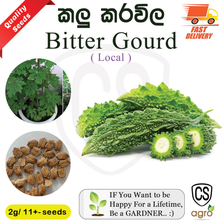 Karawila Bitter Gourd Seeds Gardening Agriculture Home CS Agro kalu karawila seed