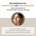 [SKIN1004 OFFICIAL]  Madagascar Centella Ampoule Foam 20ml | Centella Asiatica Extract | Coconut Oil | moisturise the irritated skin | Sensitive skin. 