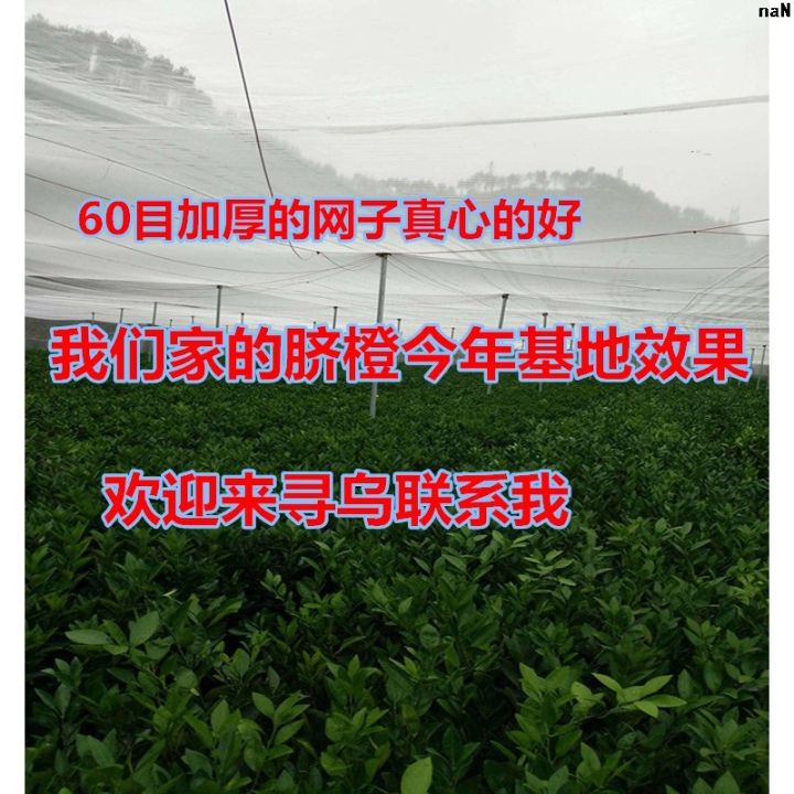 40%20Multi-Purpose%20Fruit%20Tree%20Mesh%20Net%2060%20Mesh%20Nylon%20Net%20Mesh%20Goods%20Real%20Vegetables%20Agricultural%20%5D%20Safety%20of%20Net%20Insect-Proof%20Greenhouse%20%5B%20Preferred%20%EF%BC%9A%20-%20Image%202