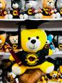 Graduation Teddy Bear | Graduation Gift Degree Bear | University Convocation Gift | Diploma Gift (24cm). 