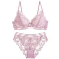 Women Lace Underwear Set Push up Bra Brassiere See Through Elastic Briefs. 