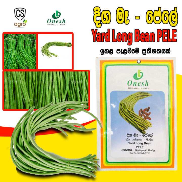 Yard Long Bean PELE Seeds 94% 10g Gardening Agriculture Onesh