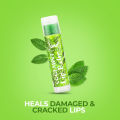 Janet Coolmint Lip Balm 3.5G. 