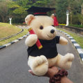 Graduation Teddy Bear Graduation Gift Toy Teddy Bear. 