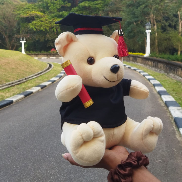 Graduation%20Teddy%20Bear%20Graduation%20Gift%20Toy%20Teddy%20Bear%20-%20Image%207