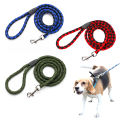 Small Two Colour Walking Nylon Dog Leash Dog Lead Pets Dog Sale Durable Traction Training Rope Dog Belt Dog Chain Dog Body Belt Chest Belt Metal Buckle Clasp Dog Collar Dog Strap Dogs Belt Dogs Sell Dogs Sale Strip Lanka Dogs Sale Sri Lanka Dog Rope. 