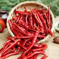 Red Dried Chili Very spicy chili. 
