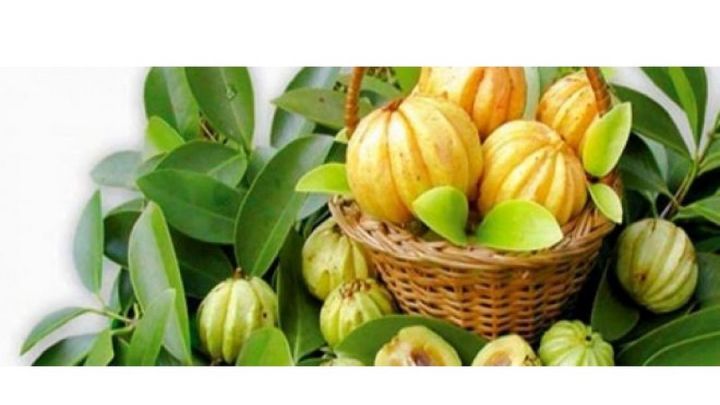 Goraka%20Plant%20-%20Image%205