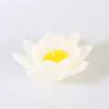 Floating Lotus Candle. 
