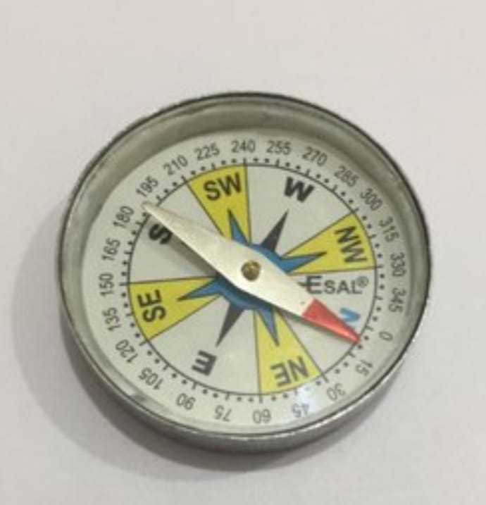 Magnetic compass
