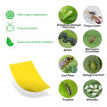 Yellow Sticky Trap/Sticky Trap/Yellow Sticker/Yellow Trap for Insects/Insect Trap. 