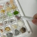 【Best value】 New Transparent Magnetic Seashell Display Box Mini Plastic Seashell Storage Box Large-capacity 36/64/100 Grids Seashell Collection Case. 