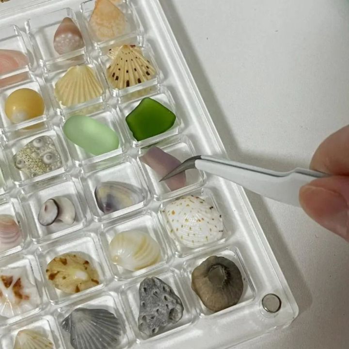 %E3%80%90Best%20value%E3%80%91%20New%20Transparent%20Magnetic%20Seashell%20Display%20Box%20Mini%20Plastic%20Seashell%20Storage%20Box%20Large-capacity%2036/64/100%20Grids%20Seashell%20Collection%20Case%20-%20Image%205