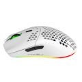 HXSJ T66 RGB 2.4G Wireless Gaming Mouse RGB Lighting Charging Mouse with Adjustable DPI Ergonomic Design for Desktop Laptop White. 