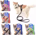 Cat Harness. 