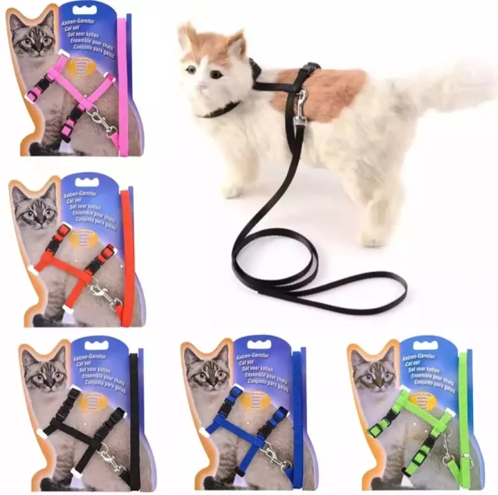 Cat Harness