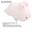 ECHIDNA Squishes Fidget Toy Quick Rebound Kids Squeezing Doll Anti-stress Toy. 